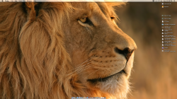 Screen Shot 2013-08-25 at 10.08.10 PM.png