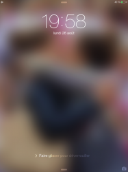 IMG_0399.png