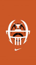 Texas Longhorns 03.jpg
