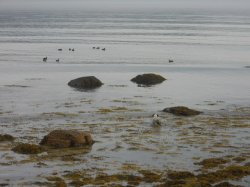 DSCN0437.JPG