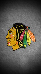 Blackhawks 02.jpg