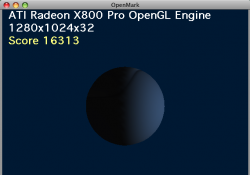 x800.png