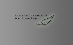 IMG_0151.JPG