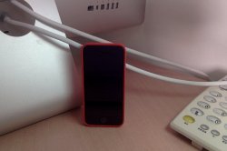 Photo on 9-20-13 at 9.19 AM.jpg