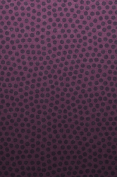 iOS6_Wallpaper_Droidviews_16.png