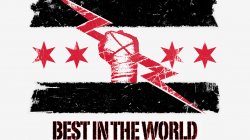 cm-punk.jpg