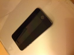 IMG_0364.JPG