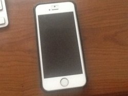 IMG_1721.jpeg