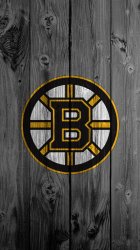 Wood Bruins.jpg