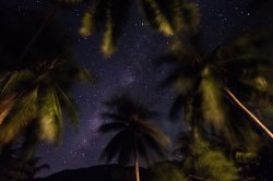 Bottle Beach Night-13.jpg