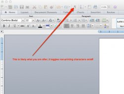 Word Non-Printing Character Toggle.jpg