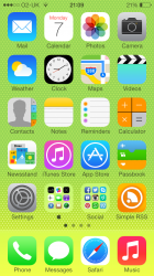 IMG_0305.PNG