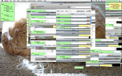 Screen shot 2013-10-11 at 8.35.00 PM.png