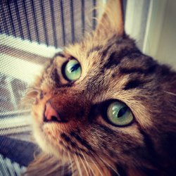photo (3).jpg