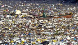 isola_plastica3.jpg