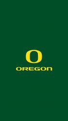 Ducks 01.jpg