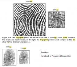 fingerprint_pores.png