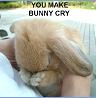 Bunny_Cry.jpg