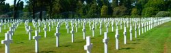 crosses1.jpg