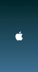 Apple 01.jpg