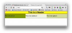 Center header and 3 equal div full width.jpg