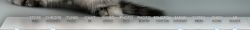 screenshot.png