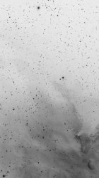 White Black Space.jpg