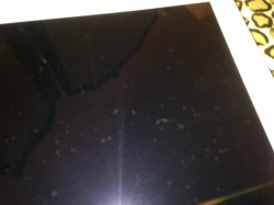 photo 1.JPG