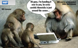 wd_software_team.png