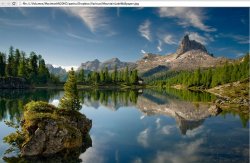 pic from Chrome.jpg
