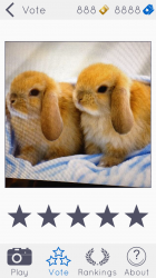 photo 2.PNG