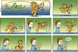 236765.gif