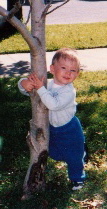 tree.jpg