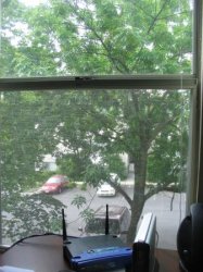 IMG_1591.JPG