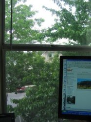 IMG_1592.JPG