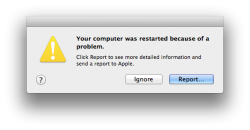 Your computer restarted because of a problem.png