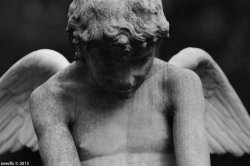 zappeio park, athens greece.jpg