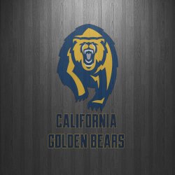 Cal Golden Bears 02.jpg