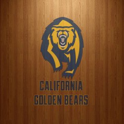 Cal Golden Bears 03.jpg