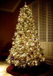 tree.jpg