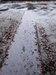 snow2.jpg
