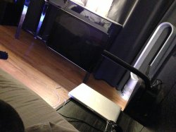 IMG_4118.jpg