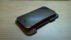 100_0095.JPG