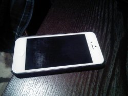 IMG_20131213_003152.jpg