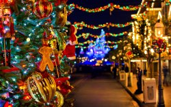 Disneyland-During-Winter-Holidays-Season-2560x1600-wide-wallpapers.net.jpg