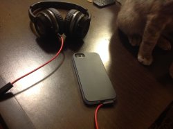 IMG_0014.JPG