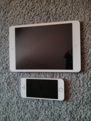 IMG_20131220_115219.jpg
