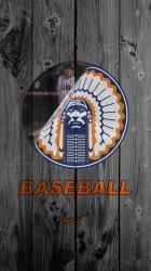 Illinois baseball 002.jpg
