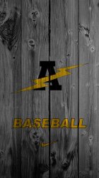Andrew HS baseball.jpg