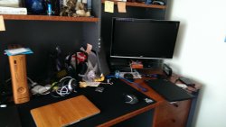 2013-12-27 18.13.38.jpg